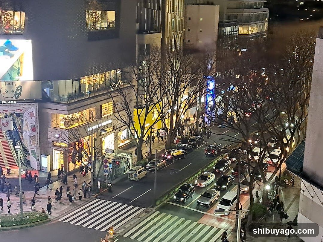 Night city street view with shops and traffic
