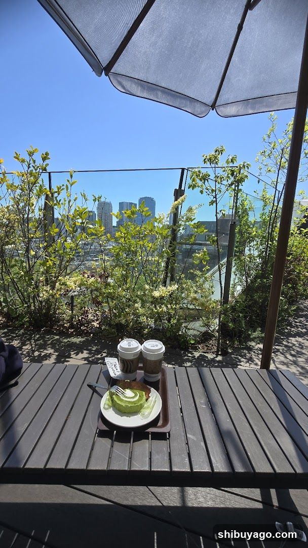 Outdoor Cafe View