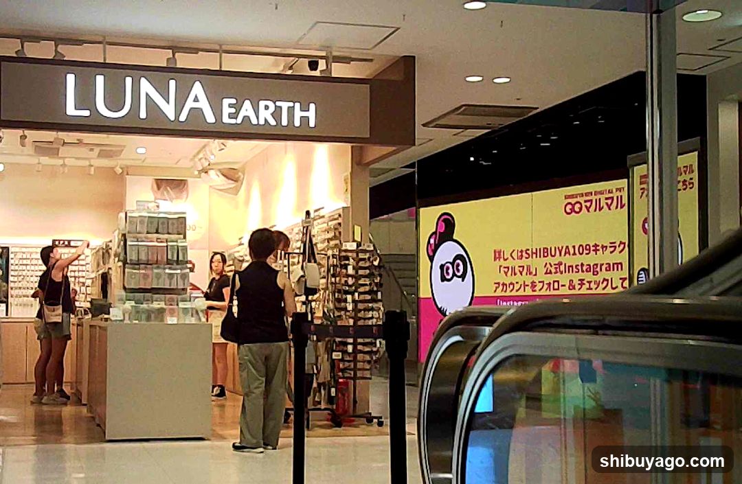 Luna Earth Store Interior