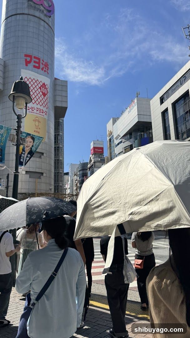 Crowd with umbrellas in city street