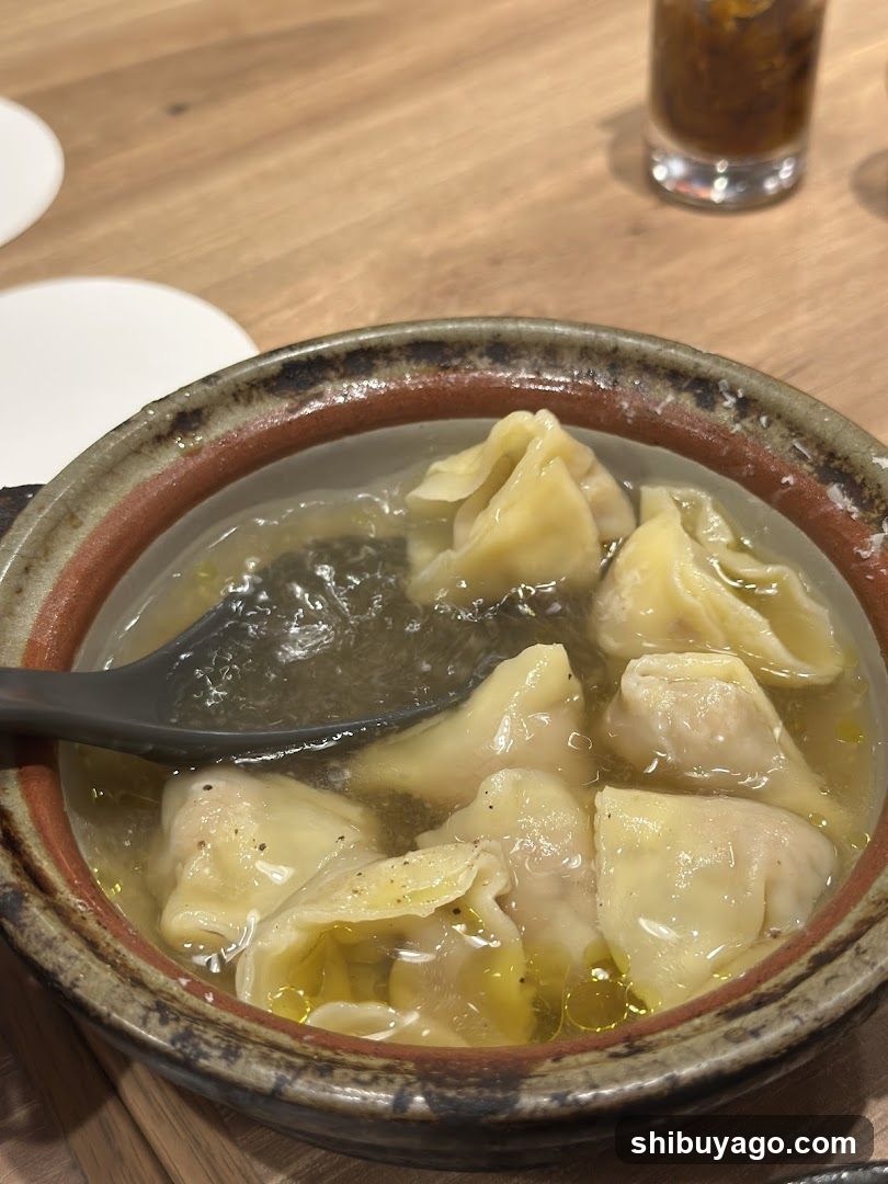 Dumpling Soup Bowl