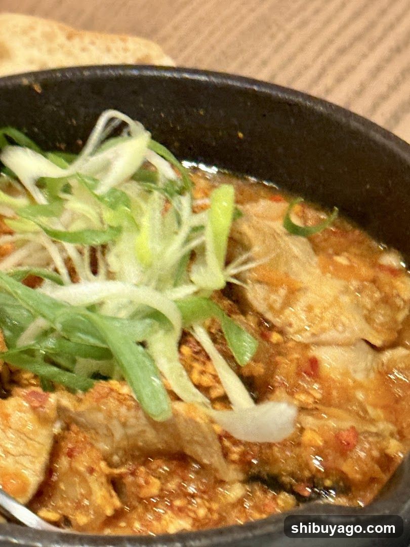 Spicy Stew with Green Onions