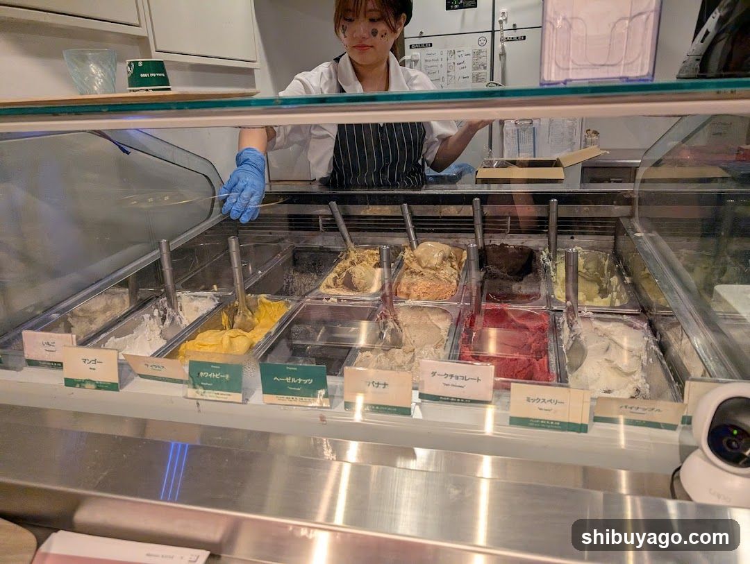 Ice Cream Display Counter
