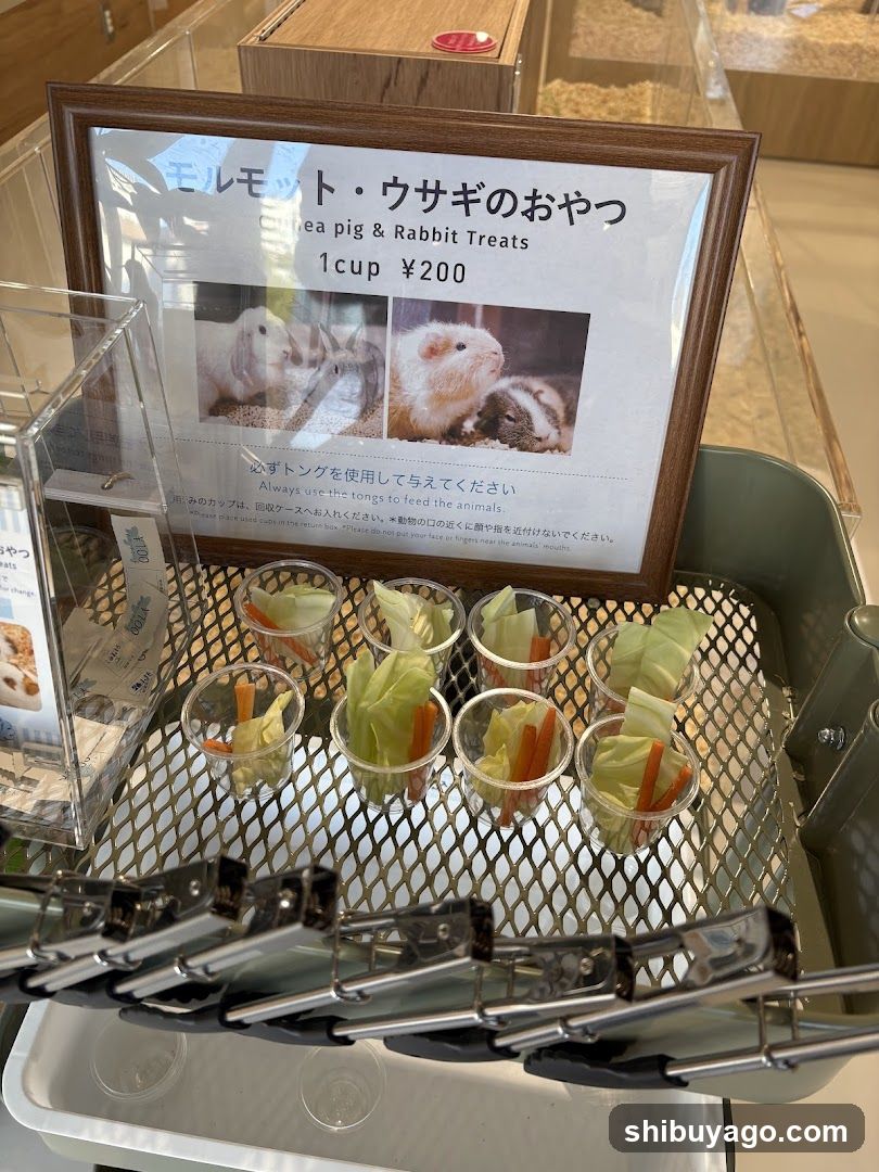 Moff animal cafe