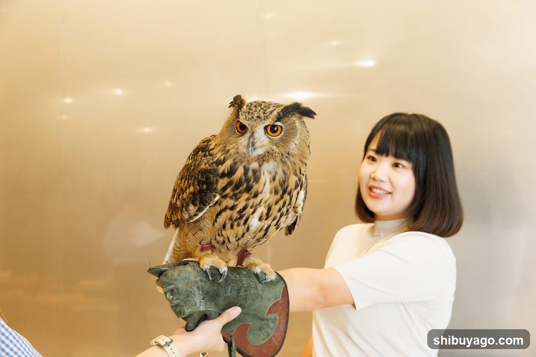 Owl on Glove with Staff Member