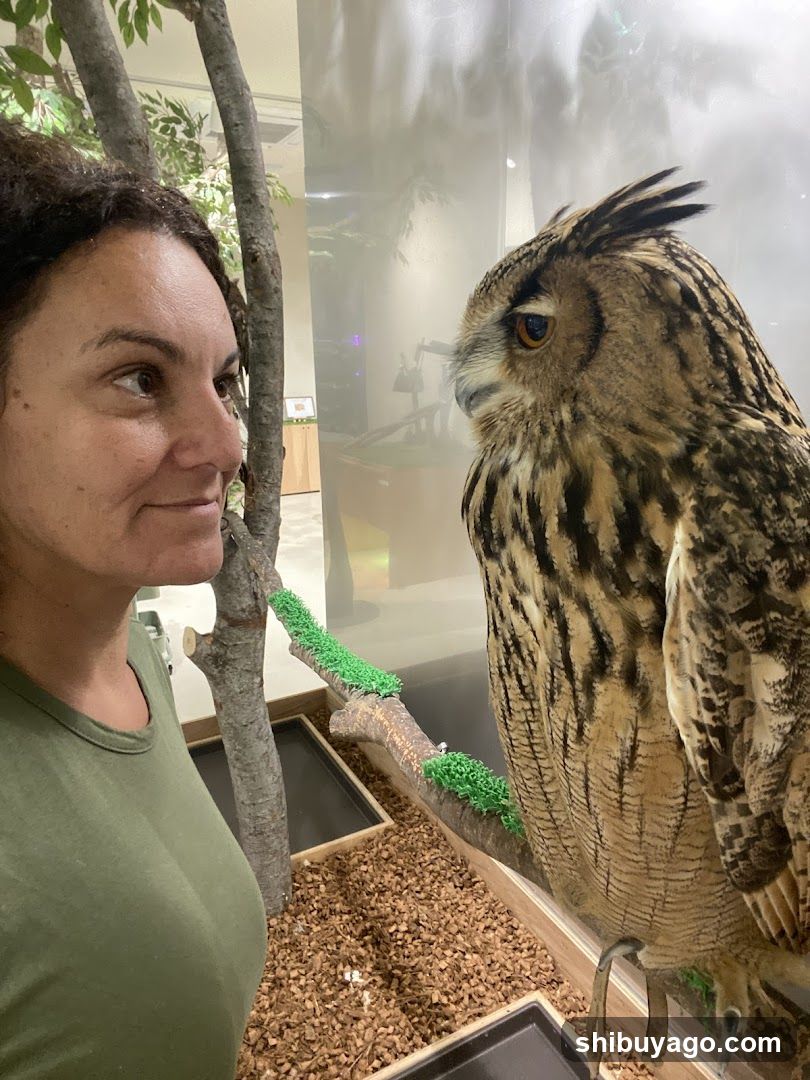 Woman with an Owl in a Museum or Zoo