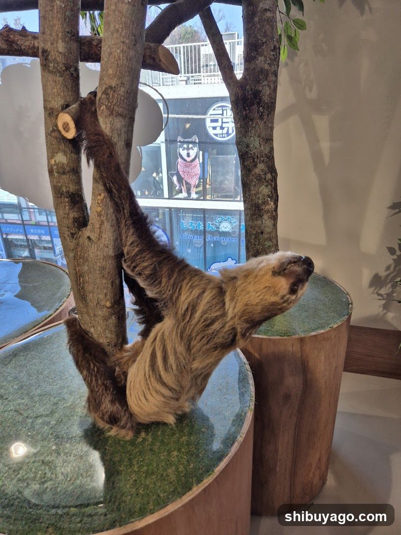 Sloth in Tree Display