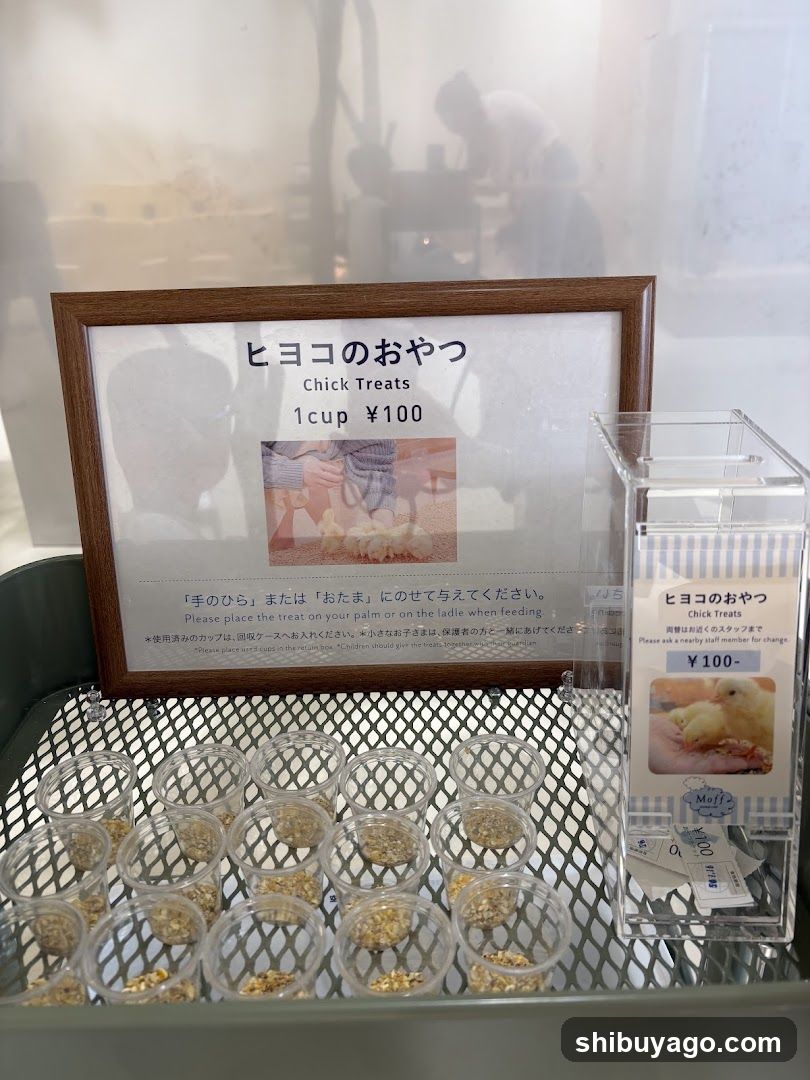 Chick Treats Display