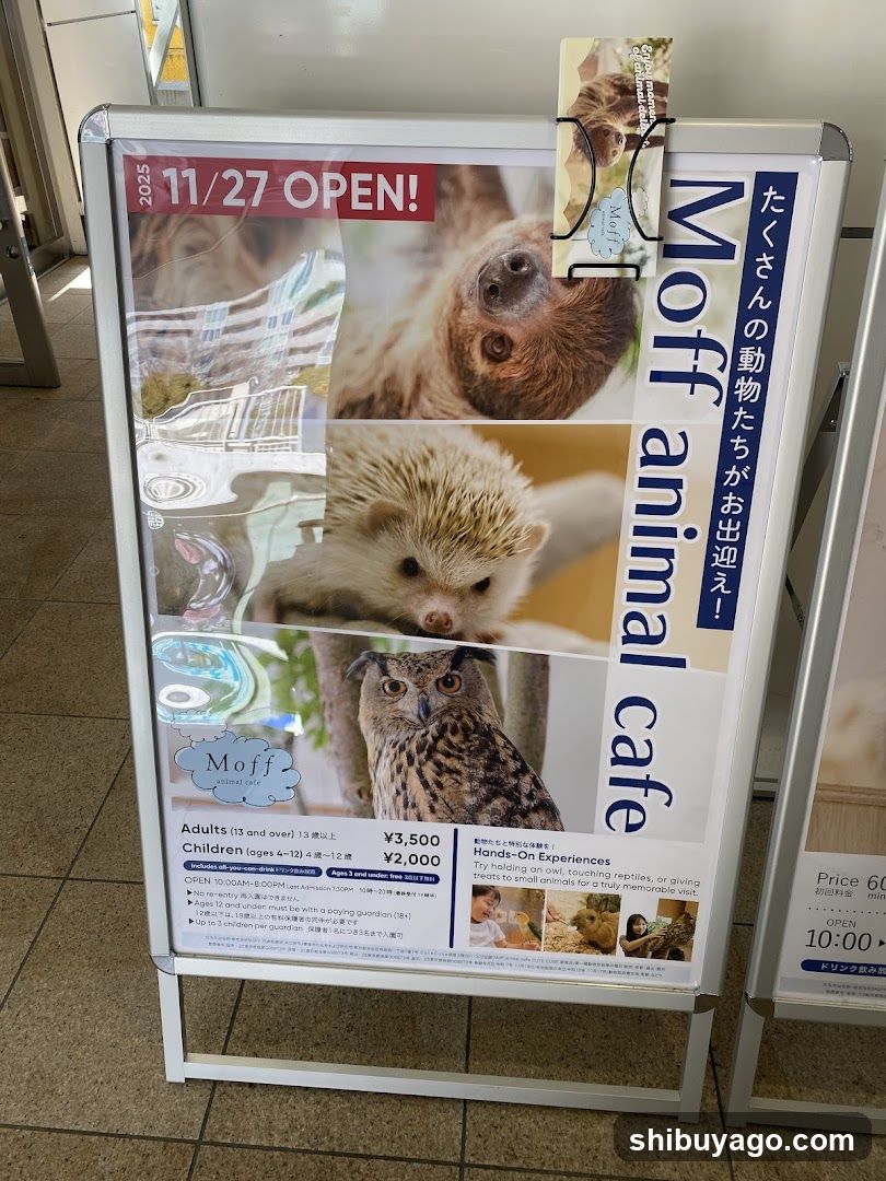 Moff animal cafe advertisement