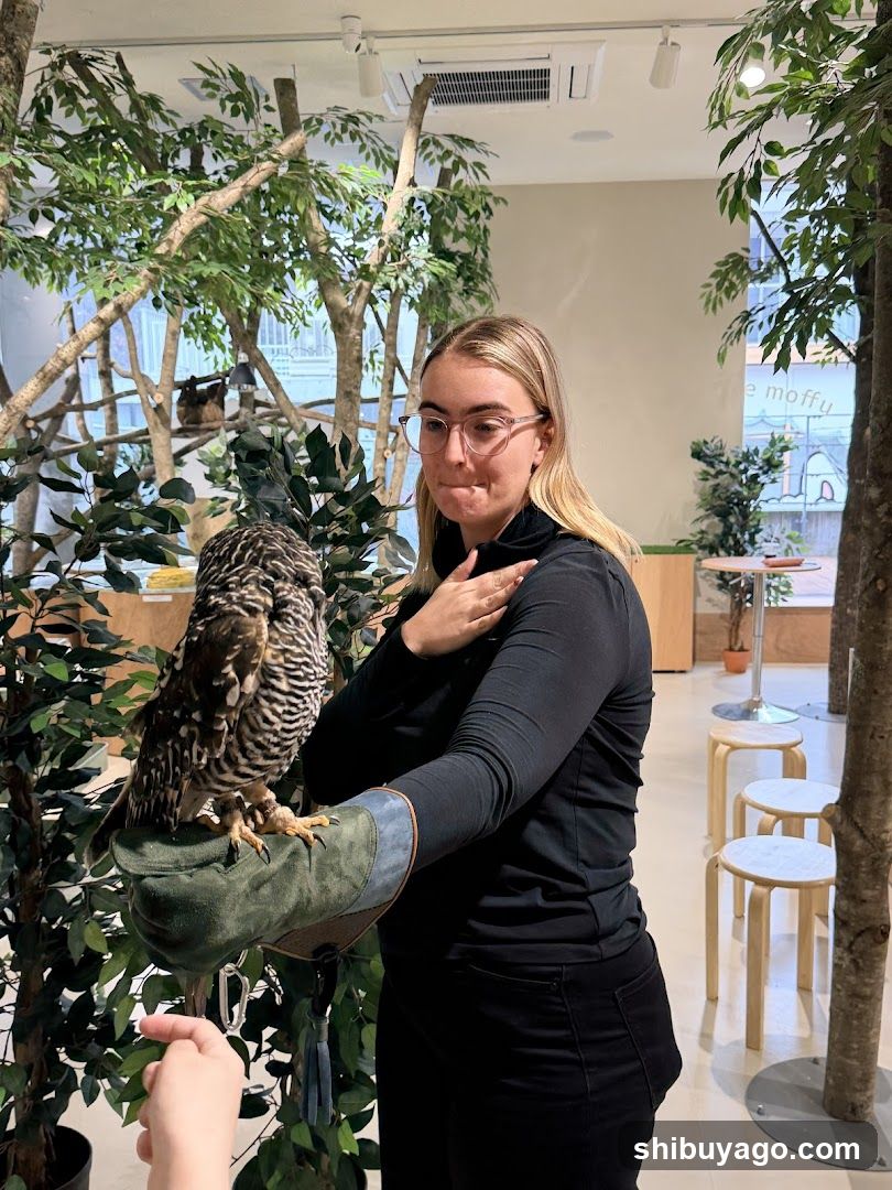 Owl Handling at Pet Shop or Cafe