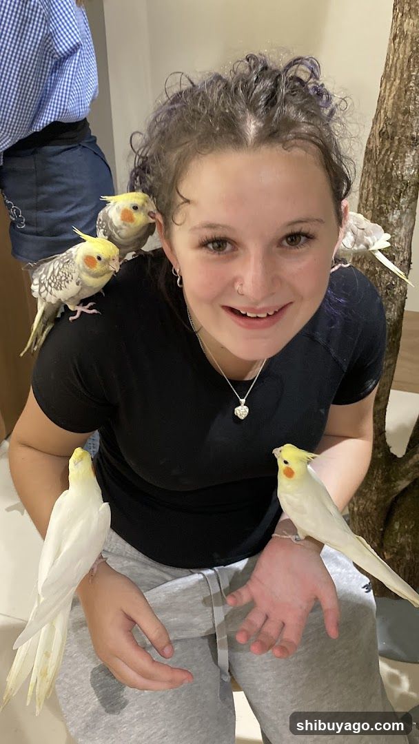 Girl with Cockatiels