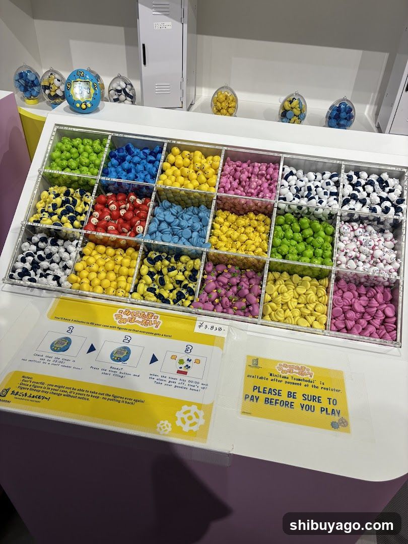 Gachapon Machine Display