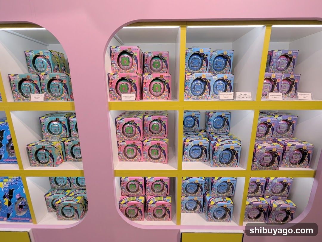 Toy Display Shelf