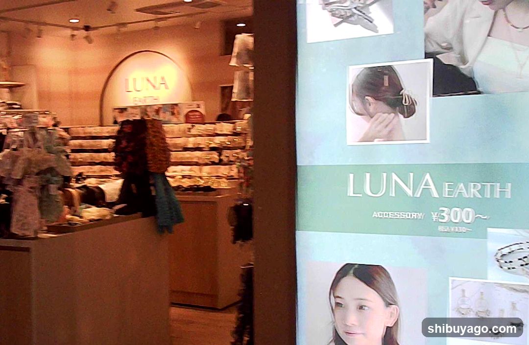 Luna Earth Store Interior and Display
