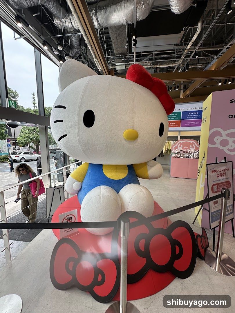 Hello Kitty Display