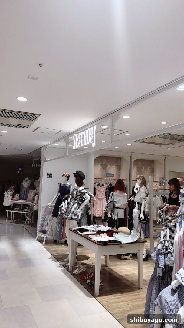 Fashion Store Interior Display