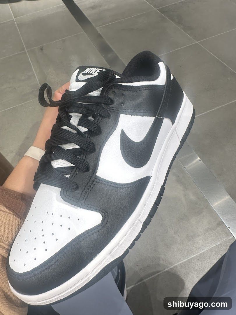 Nike Dunk Low Shoe