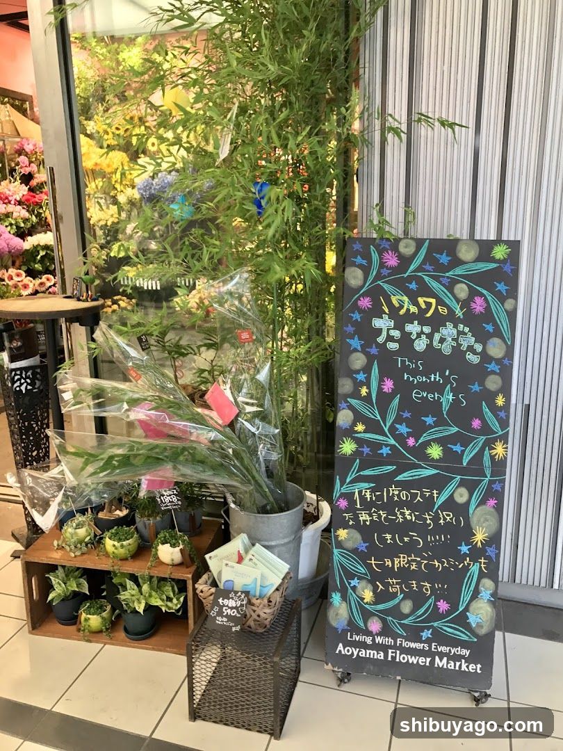 Aoyama Flower Market Exterior
