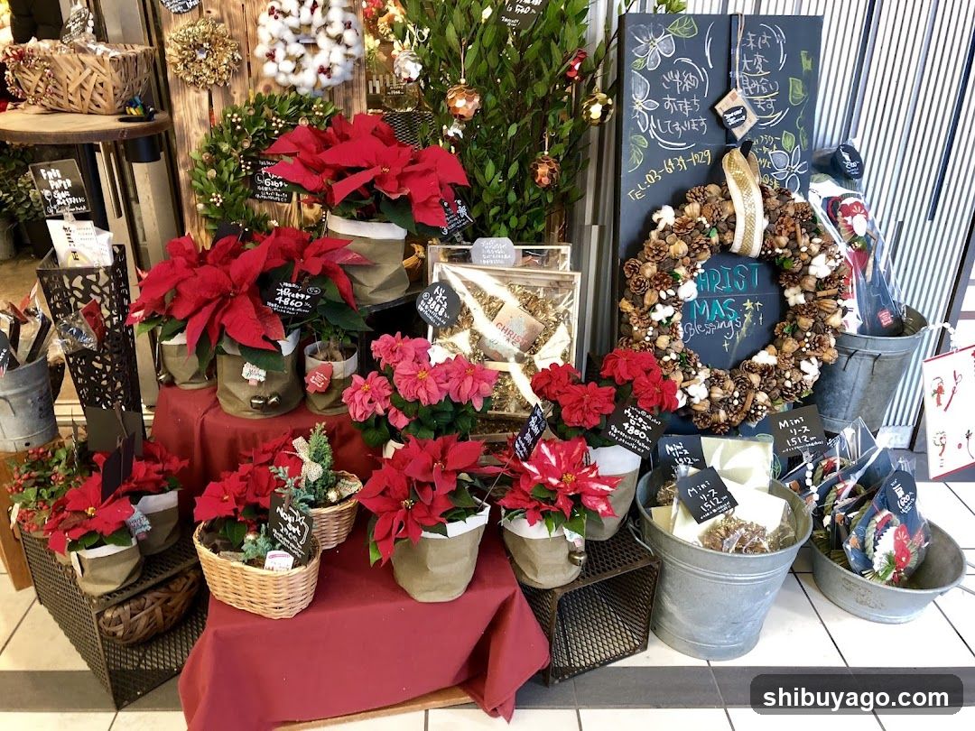 Holiday Gift Display