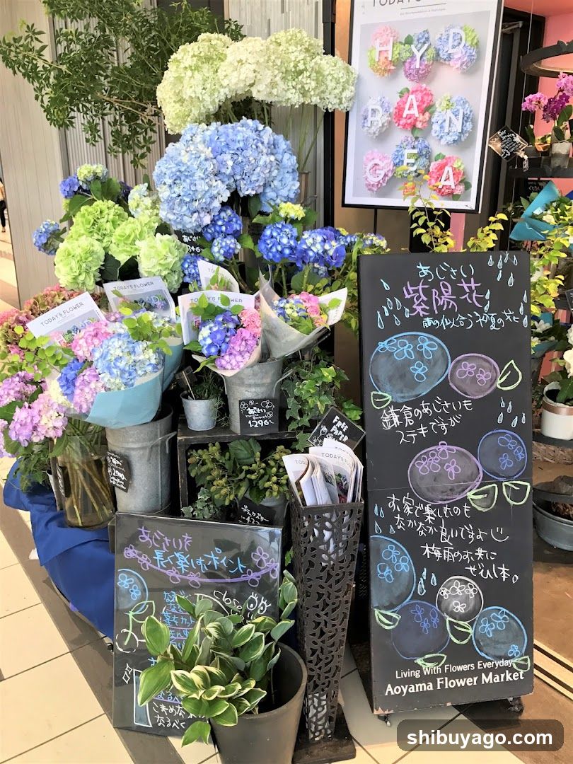 Aoyama Flower Market Display