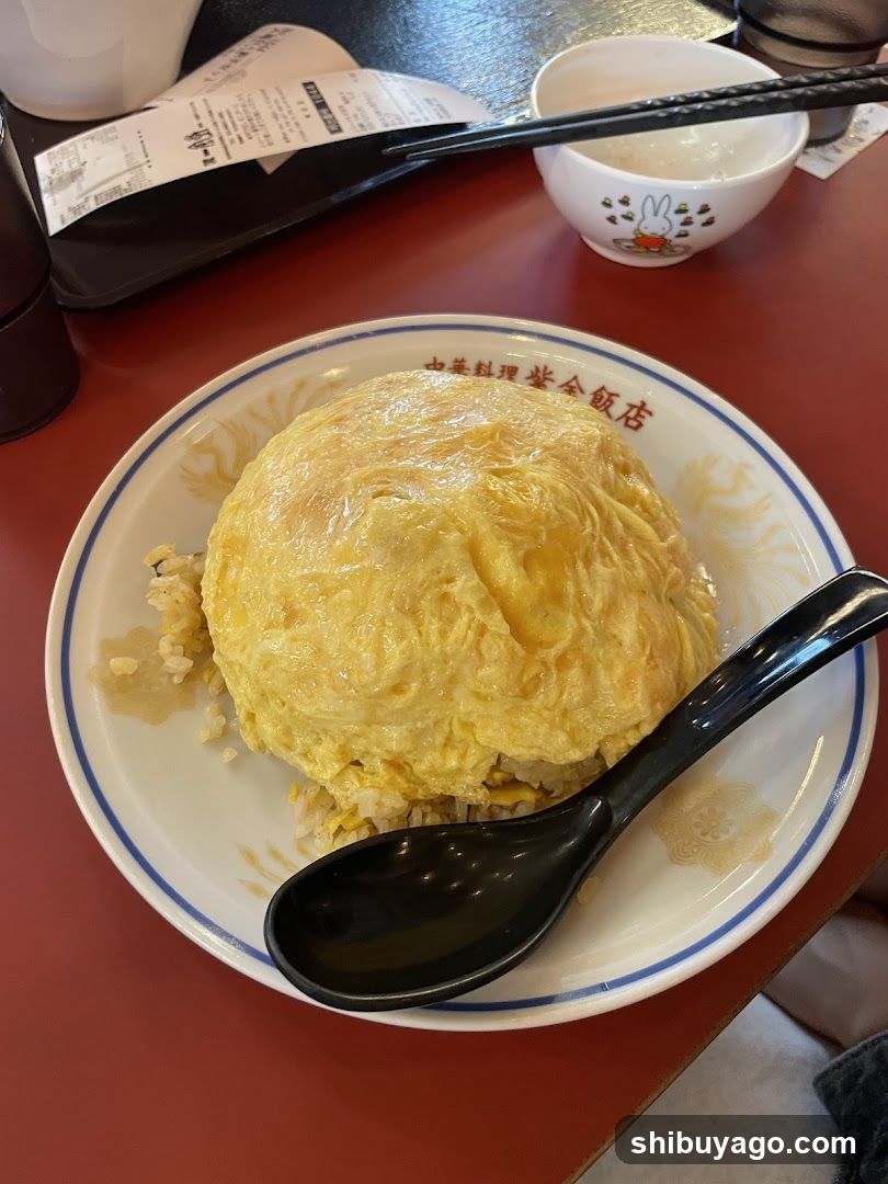 Omelette Rice Bowl at Japanese Restaurant