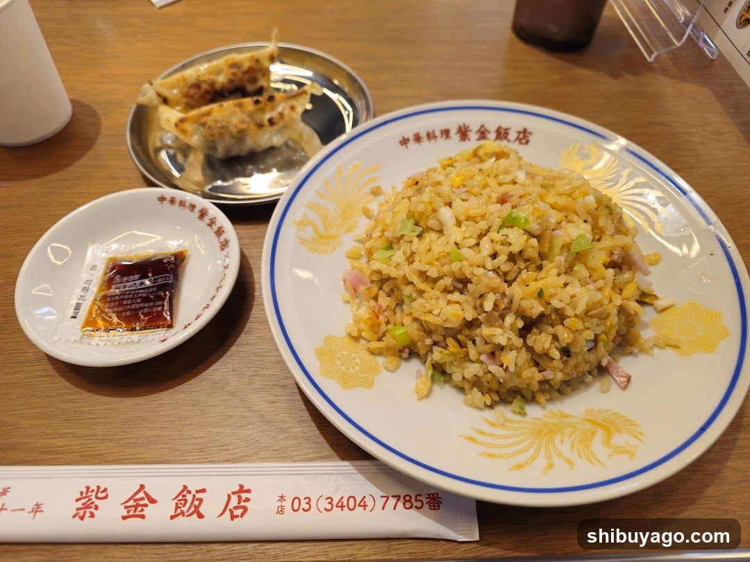 Fried Rice and Dumplings at Shiroi Kashiya