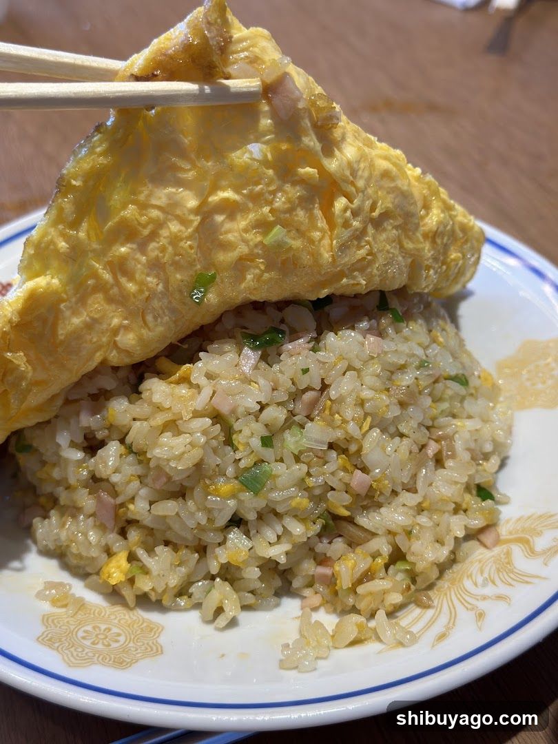 Fried Rice with Omelette