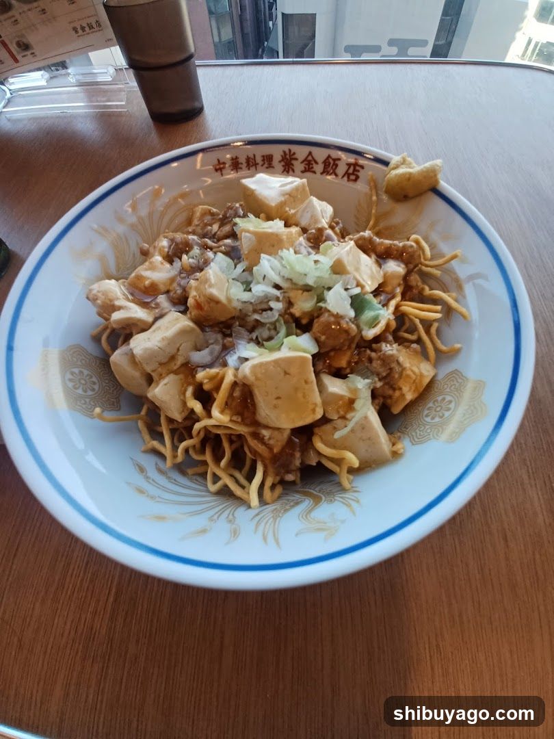 Mapo Tofu with Noodles
