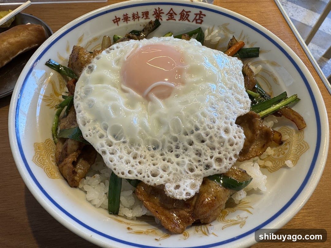 Fried Egg Rice Bowl with Chinese Ingredients