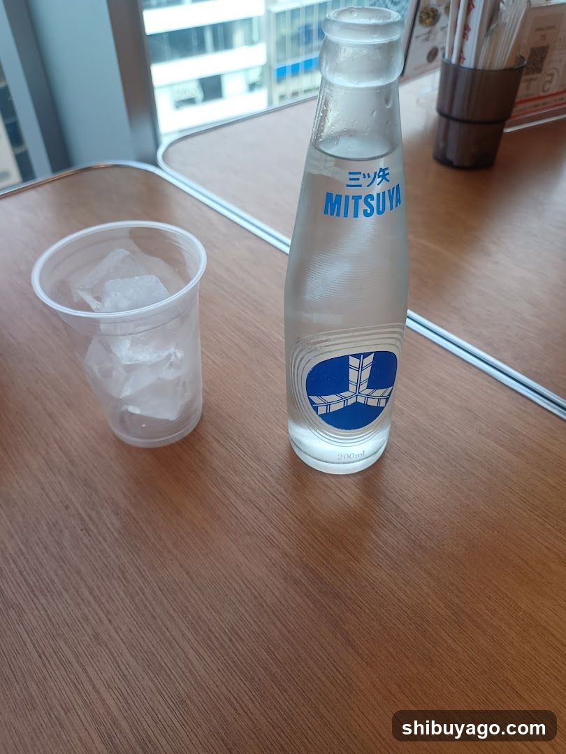 Mitsuya Water Bottle and Ice Cup