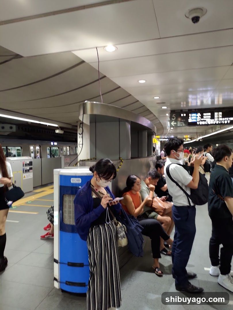 Taxi stand Shibuya Station East Entrance