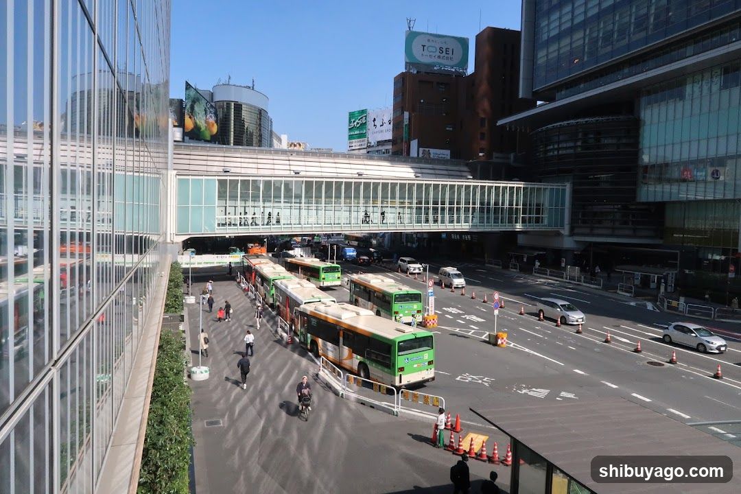 Urban Bus Terminal View