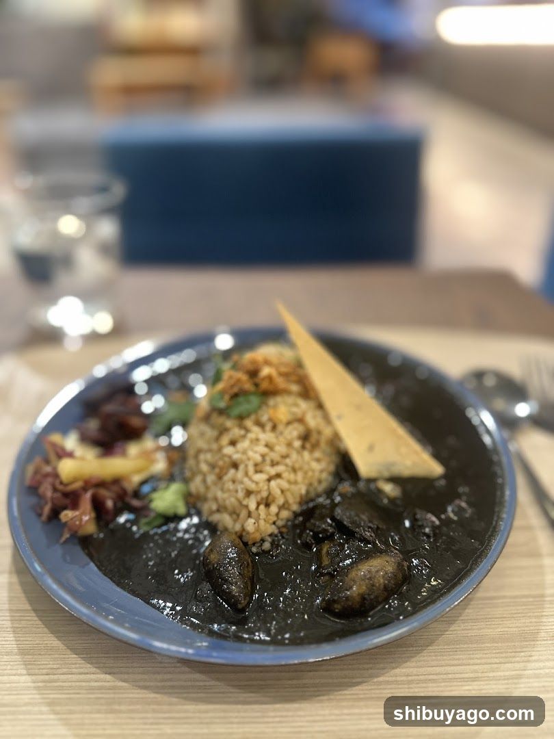 Plate of Black Curry with Rice and Side Dishes
