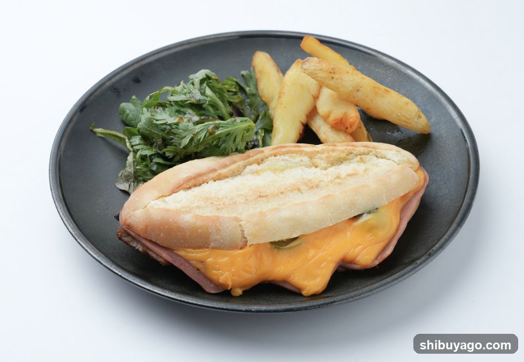 Cheese Sandwich with Fries and Salad