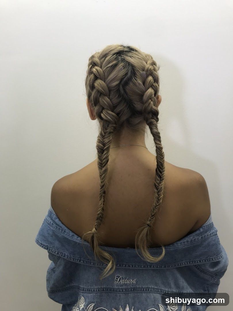 Braid Hairstyle Back View