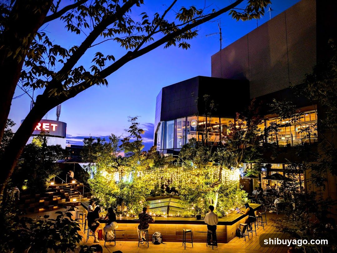 Evening Rooftop Bar Scene