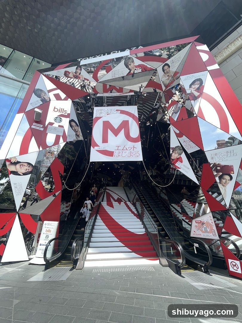 Tokyo Metro Entrance