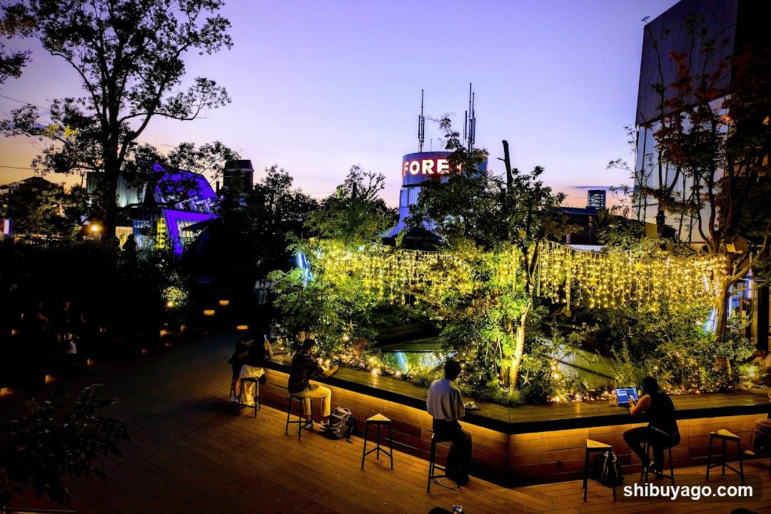 Evening Rooftop Gathering