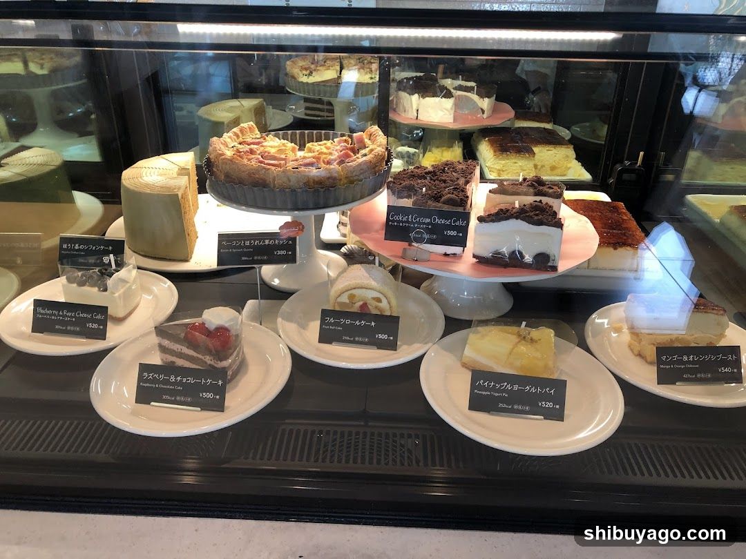 Cake Display Case