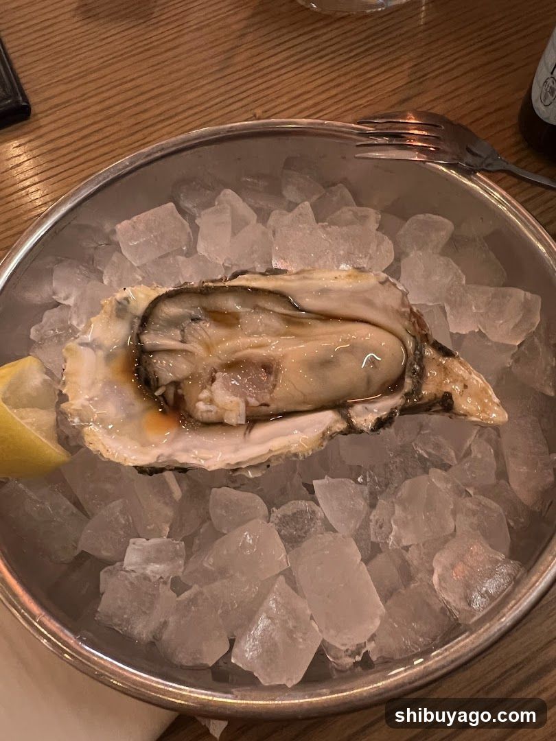 Oyster on Ice