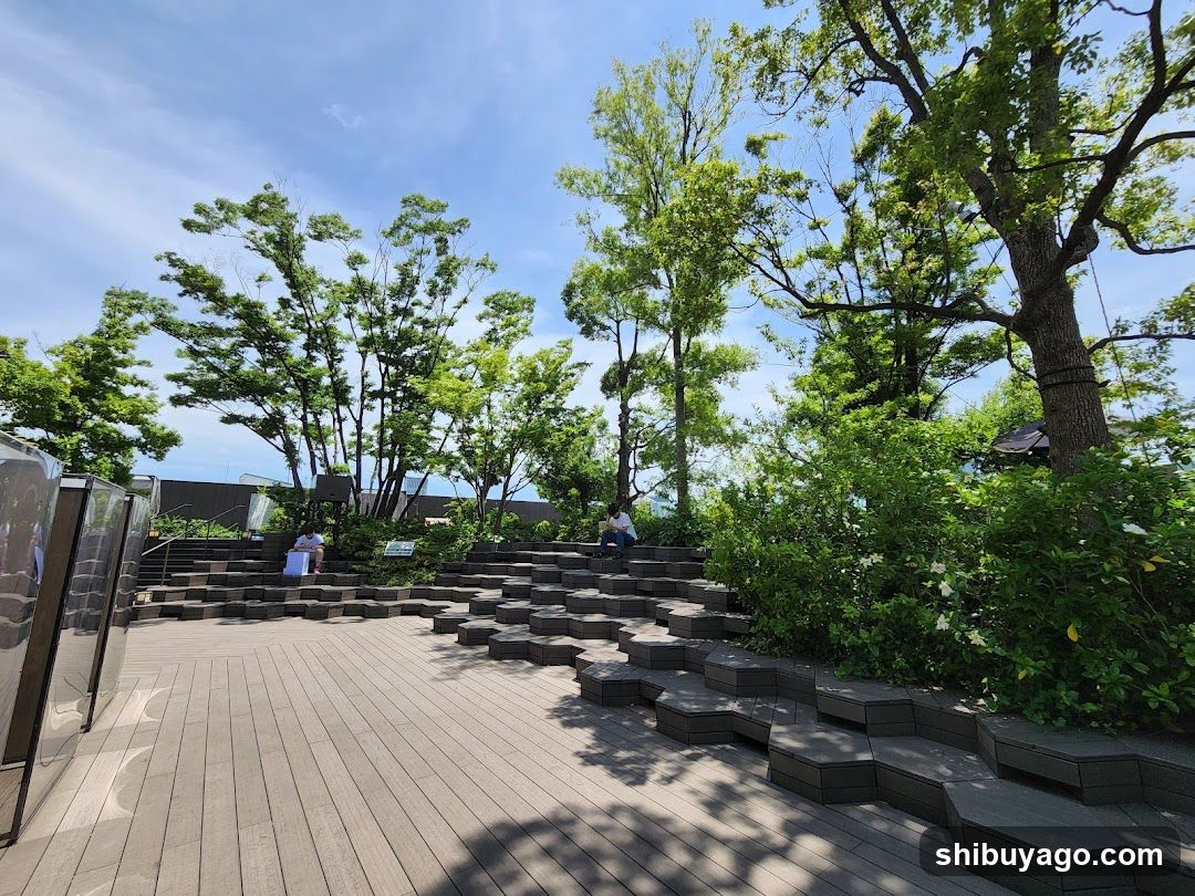 Omohara Forest