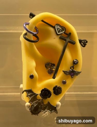 Earring Display on Ear Model