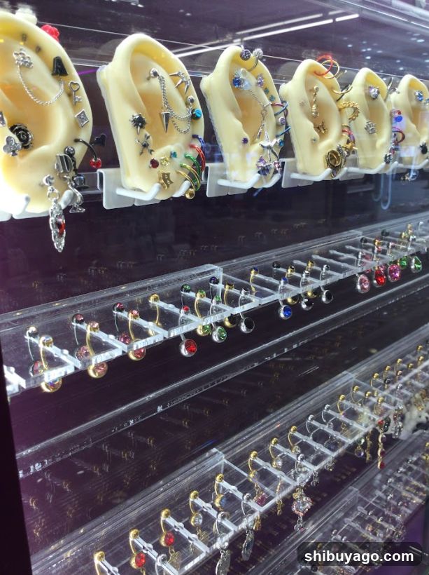 Earring Display Case
