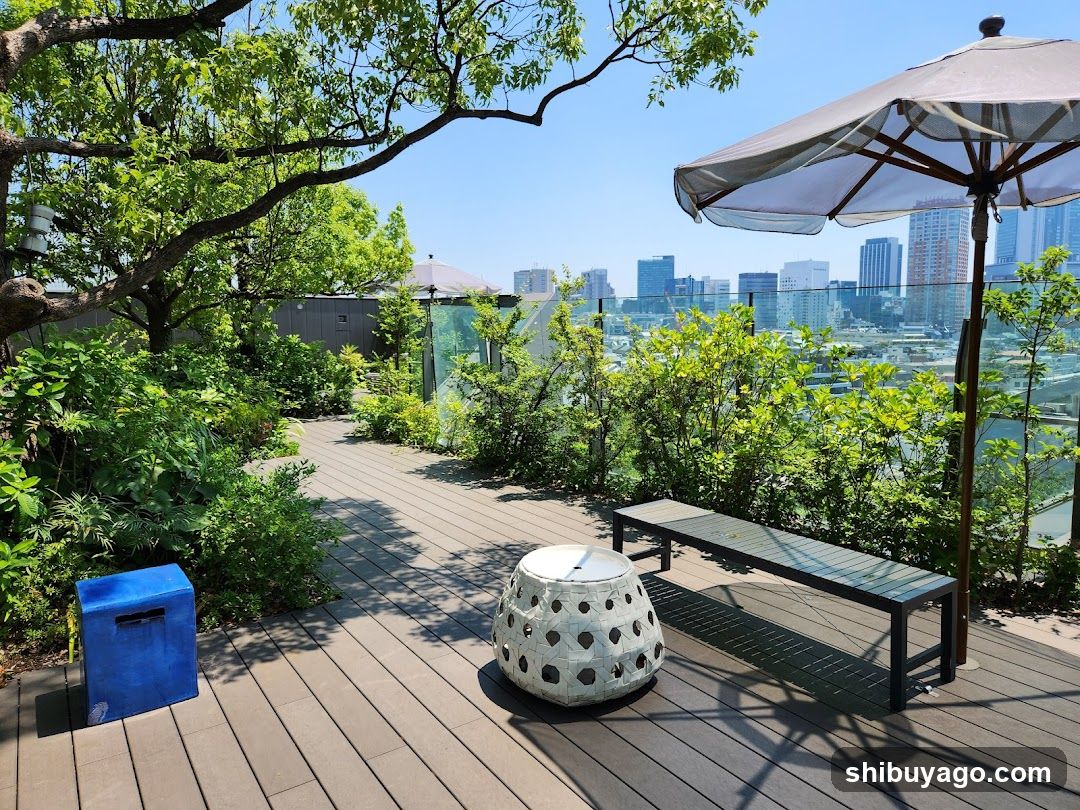 Rooftop Garden View