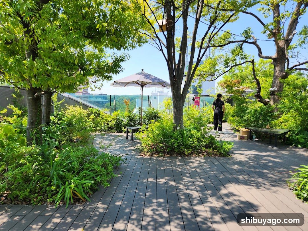 Rooftop Garden with Wooden Deck and Greenery