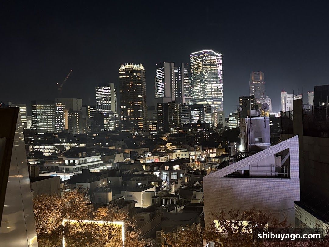 Night Cityscape View
