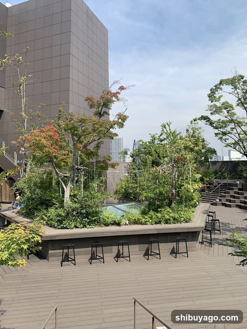 Rooftop Garden with Seating Area