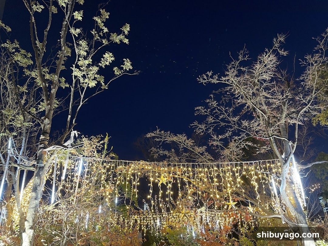 Night Tree Lights Display
