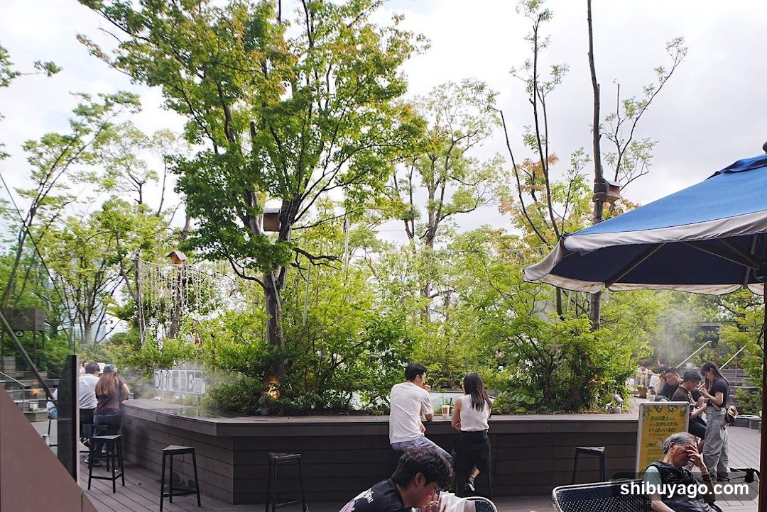 Outdoor Cafe Scene