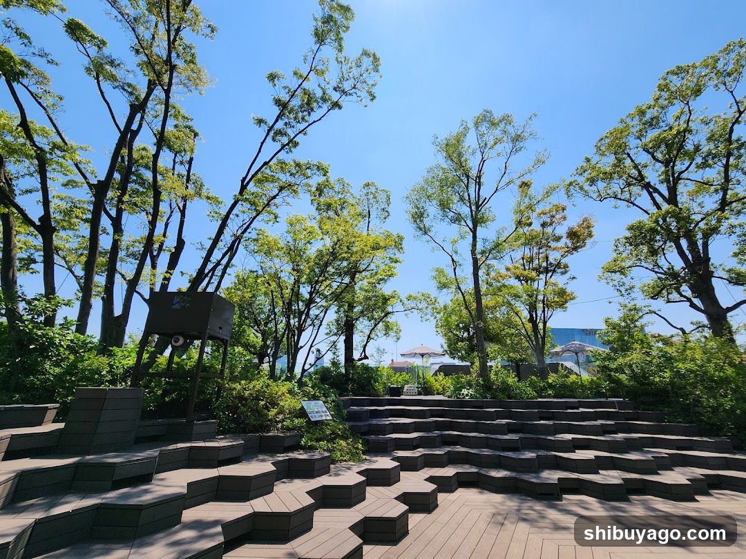 Outdoor Amphitheater with Trees and Sky